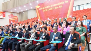 Đại biểu dự Đại hội Đảng bộ Ủy ban nhân dân tỉnh Quảng Ngãi lần thứ nhất, nhiệm kỳ 2025-2030 biểu quyết thông qua Nghị quyết Đại hội. 