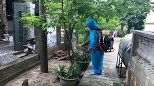 Sở Y tế khuyến cáo không chủ quan, không giấu dịch và không để xảy ra tình trạng lây lan từ những thói quen thiếu an toàn trong tiêu dùng.