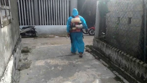 Cơ quan chức năng tiến hành khử khuẩn khu vực phát hiện lợn có dấu hiệu bất thường.
