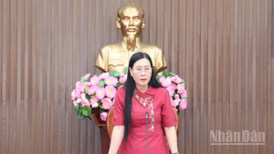 Đồng chí Bùi Thị Quỳnh Vân, Ủy viên Trung ương Đảng, Bí thư Tỉnh ủy Quảng Ngãi phát biểu tại buổi làm việc.