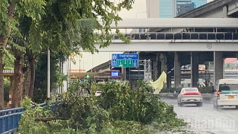 Cây cối gẫy đổ trên đường phố tại thủ đô Bangkok ngày 3/10. (Ảnh: XUÂN SƠN)