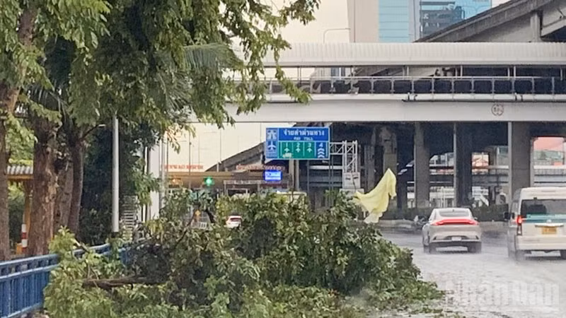 Cây cối gẫy đổ trên đường phố tại thủ đô Bangkok ngày 3/10. (Ảnh: XUÂN SƠN)