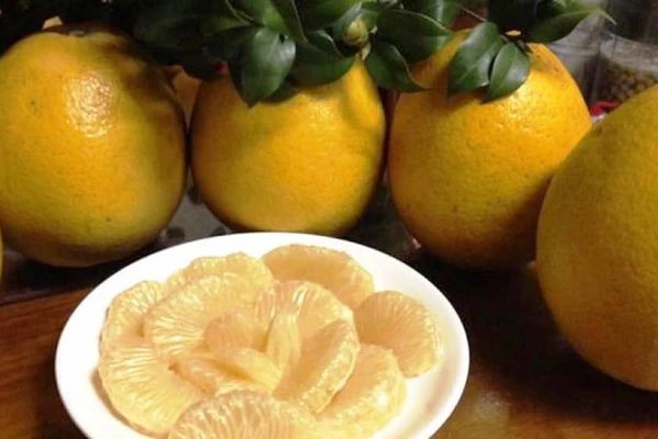 Hà Nội phát triển diện tích trồng bưởi đặc sản