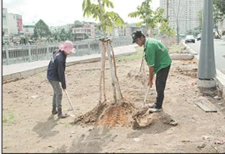 Công nhân trồng cây xanh ven bờ kênh.