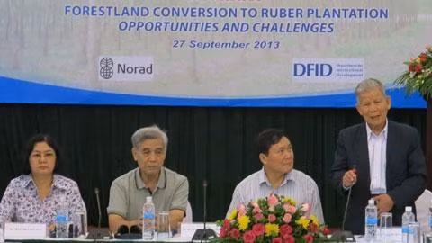 Chuyển đổi rừng sang trồng cao-su còn bất cập ảnh 1