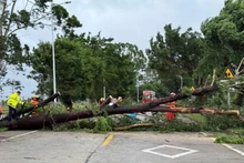 Cây đổ chắn ngang đường ở thành phố Đài Sơn, tỉnh Quảng Đông (Trung Quốc). (Ảnh: Chinanews)
