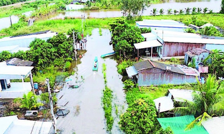 Một góc khu tái định cư Kênh Tư (ấp Lung Tràm, xã Khánh Hưng) bị ngập úng.
