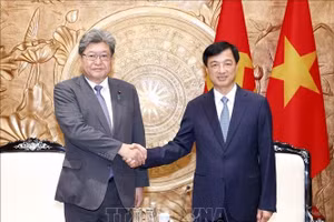 Trưởng Ban Tổ chức Trung ương Nguyễn Duy Ngọc tiếp Quyền Tổng Thư ký Đảng Dân chủ Tự do Nhật Bản (LDP) Hagiuda Koichi. (Ảnh: TTXVN)