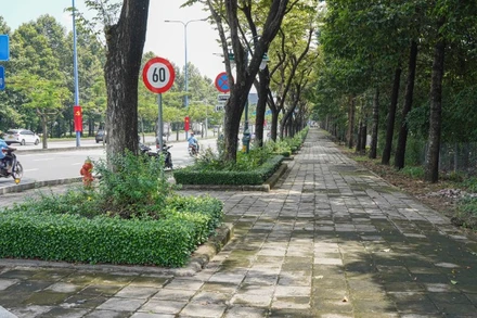 Làn đường dành riêng cho xe đạp trên đại lộ Mai Chí Thọ. (Ảnh: QUÝ HIỀN)