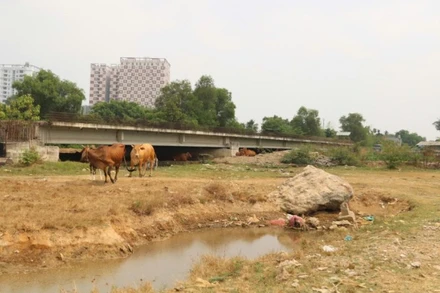 Tuyến Vành đai 2, đoạn 2 đang thi công. (Ảnh: VÕ LÊ)