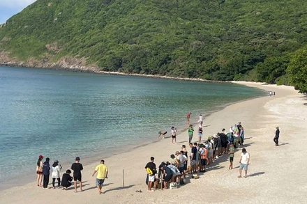 Côn Đảo, được ví như “viên ngọc xanh”- trở thành đặc khu thuộc Thành phố Hồ Chí Minh với nhiều tiềm năng phát triển dịch vụ du lịch sinh thái biển đảo. (Ảnh: MẠNH HẢO)