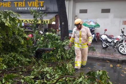 Lực lượng Cảnh sát giao thông phối hợp xử lý sự cố ngã đổ cây xanh tại Thành phố Hồ Chí Minh. (Ảnh: QUÝ HIỀN)