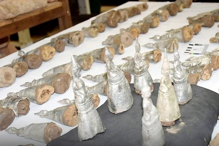 Các bức tượng Phật cổ mới được phát hiện ở tỉnh Champasak, Lào. Ảnh: Vientiane Times