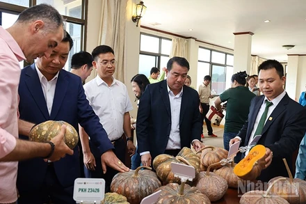 Các đại biểu tìm hiểu một số giống bí ngô chất lượng cao tại hội thảo. (Ảnh: Trịnh Dũng)