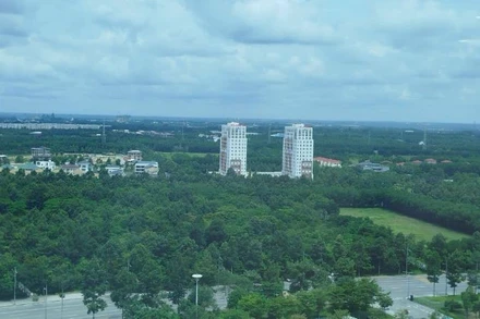 Cây xanh tại phường Bình Dương (Thành phố Hồ Chí Minh) được Tổng Công ty Becamex IDC đã trồng trong thời gian qua. 