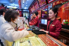 Ảnh: THÀNH ĐẠT