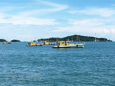 Ảnh chỉ có tính minh họa. (Nguồn: TTXVN)