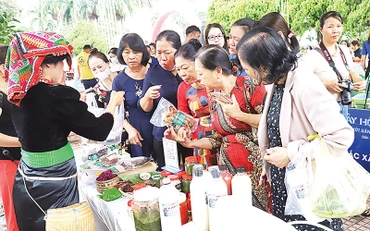 Các sản phẩm khởi nghiệp được sản xuất từ nông sản hữu cơ luôn được ưa chuộng