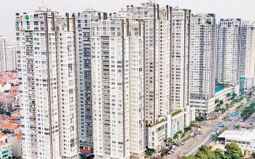 Các dự án nhà ở tại đường Nguyễn Hữu Thọ, Quận 7.