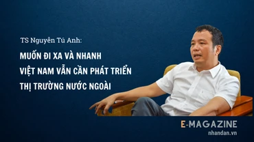 Muốn đi xa và nhanh Việt Nam vẫn cần phát triển thị trường nước ngoài