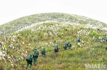 Ảnh minh họa: Thành Đạt