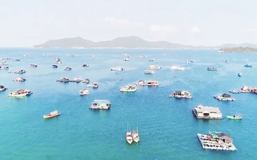  Nuôi cá lồng bè ở ấp Bãi Chướng, xã Hòn Nghệ, huyện Kiên Lương.