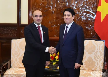 Chủ tịch nước Lương Cường tiếp Đại sứ Algeria tại Việt Nam