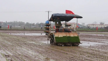 Vận hành máy cấy tại Hà Nam. Ảnh: ĐÀO PHƯƠNG
