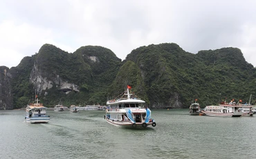Tàu du lịch đưa khách tham quan Vịnh Hạ Long đã hoạt động trở lại sau bão số 3.