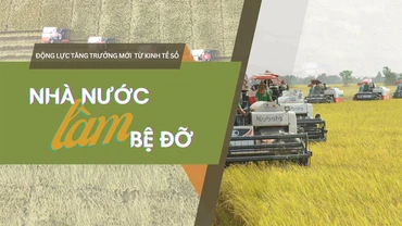 Dàn máy gặt của Công ty Lộc Trời trên cánh đồng lúa xuất khẩu châu Âu. (Ảnh NGÔ QUÝ)