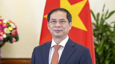 Bộ trưởng Ngoại giao Bùi Thanh Sơn. (Ảnh: Bộ Ngoại giao)