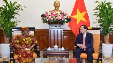 Bộ trưởng Ngoại giao Bùi Thanh Sơn tiếp Tổng Giám đốc WTO Ngozi Okonjo-Iweala. 
