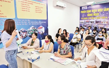 Người lao động tìm kiếm việc làm tại Trung tâm dịch vụ việc làm Hà Nội. (Ảnh QUANG VINH)