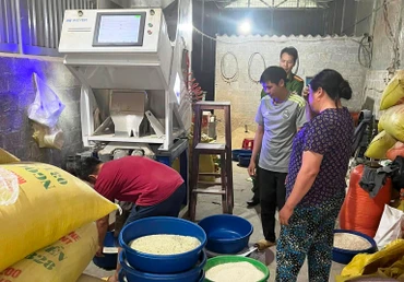 Lực lượng chức năng kiểm tra, ngăn chặn sản xuất gạo Séng Cù xanh tại chủ hộ kinh doanh Lục Đức Khón, thị trấn Mường Khương, huyện Mường Khương-Lào Cai. (Ảnh: ĐĂNG NĂM)