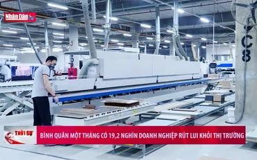 Bình quân một tháng có 19,2 nghìn doanh nghiệp rút lui khỏi thị trường