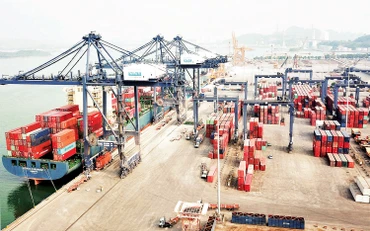 Cảng công-ten-nơ quốc tế Cái Lân.