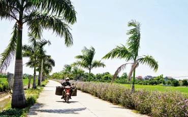 Ðường giao thông được đầu tư nâng cấp, giúp người dân huyện Yên Mô đi lại thuận tiện hơn.