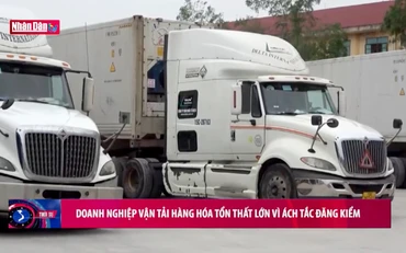 Doanh nghiệp vận tải hàng hóa tổn thất lớn vì ách tắc đăng kiểm