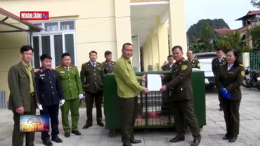 Bàn giao 4 cá thể chuột túi cho Trung tâm Cứu hộ Hoàng Liên