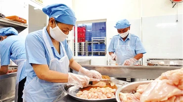 Khu vực chế biến thực phẩm một chiều tại Bếp ăn mẫu Trường tiểu học Ngô Gia Tự, TP Ðà Nẵng.