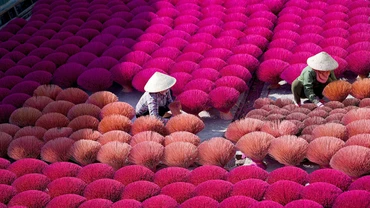 Rực rỡ làng hương Quảng Phú Cầu
