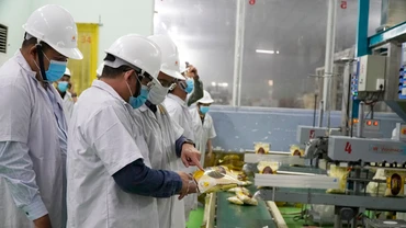Kiểm tra mẫu gạo xuất khẩu tại Nhà máy chế biến gạo Thoại Sơn (thuộc Công ty cổ phần Tập đoàn Lộc Trời). (Ảnh HÀ AN)
