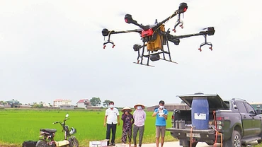 Ứng dụng thiết bị bay không người lái để phun thuốc bảo vệ thực vật tại huyện Phù Ninh, tỉnh Phú Thọ.