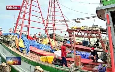 Trách nhiệm người đứng đầu trong phòng chống khai thác IUU