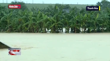 Mưa lũ gây thiệt hại cho người dân miền Trung