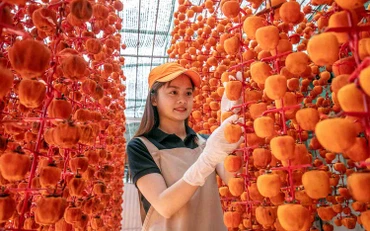 Nông sản từ các tỉnh vùng Tây Nguyên chủ yếu tiêu thụ tại Thành phố Hồ Chí Minh.
