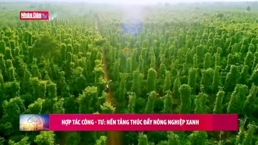 Hợp tác công-tư: Nền tảng thúc đẩy nông nghiệp xanh