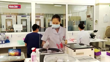 Ứng dụng ghép tế bào gốc điều trị các bệnh về máu