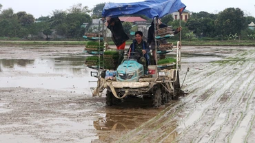 Máy cấy của Hợp tác xã dịch vụ nông nghiệp thị trấn Tân Thanh, huyện Thanh Liêm.