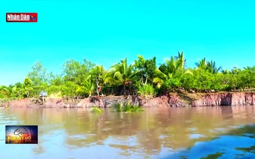 Đảm bảo nơi ăn ở cho người dân khu vực sạt lở